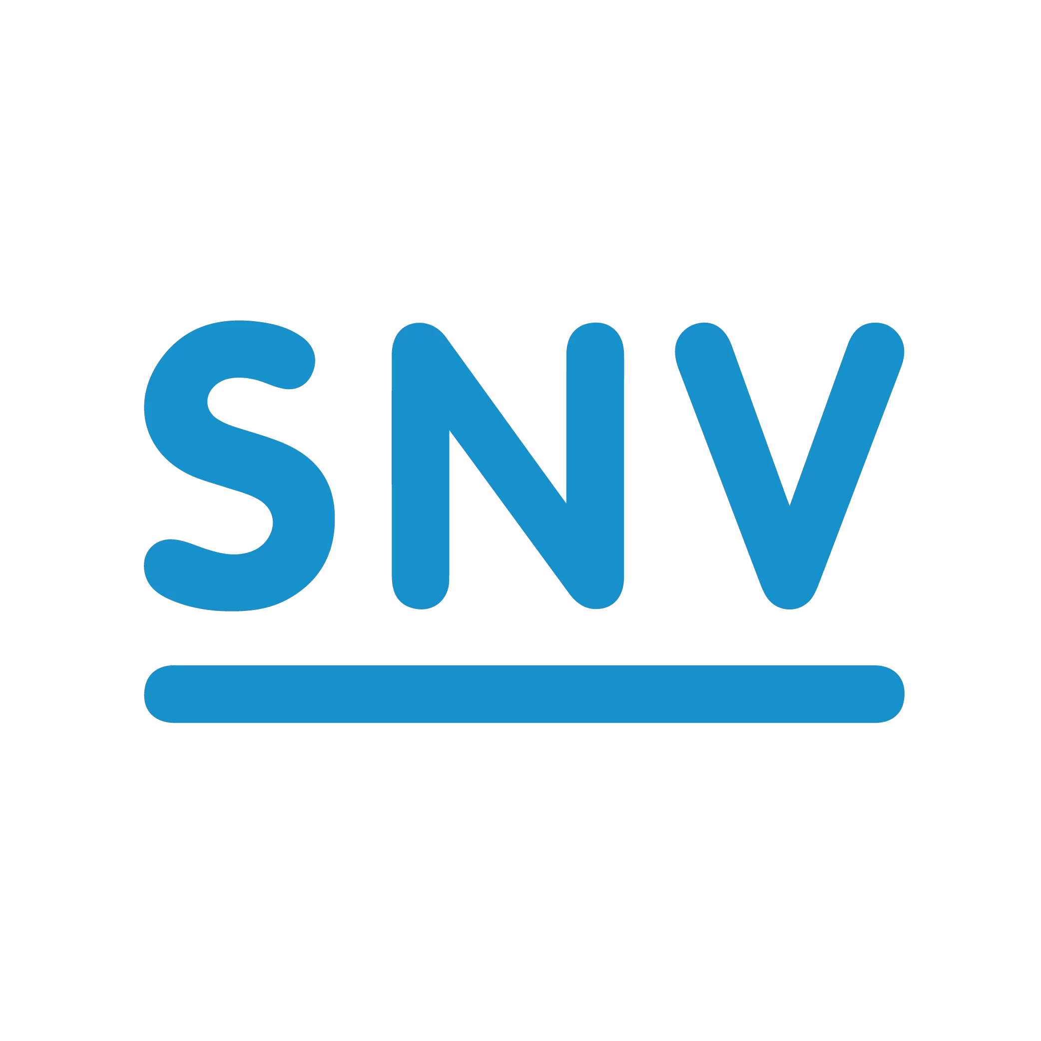 SNV_LOGO_MASTER