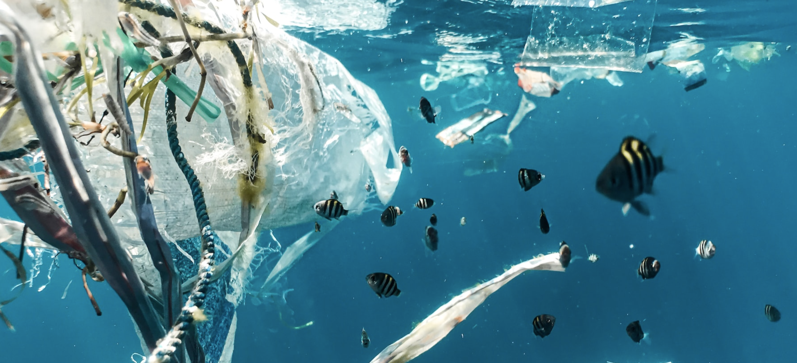 Afriplastics challenge scaled